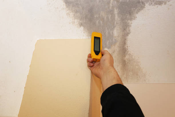 Best Attic Mold Removal  in Mechanicville, NY