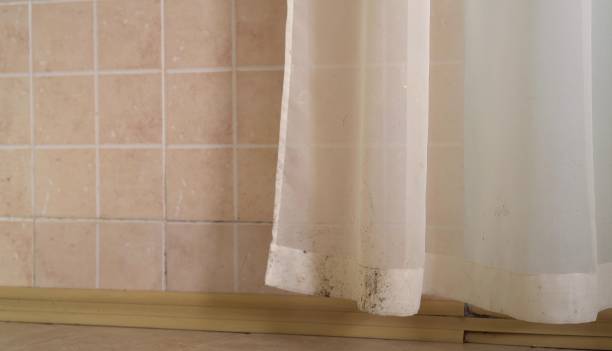 Best Mold Documentation for Insurance Claims  in Mechanicville, NY