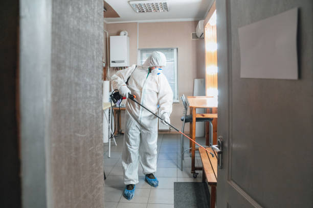 Mechanicville, NY Mold Removal Company